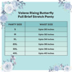 Valene Rising Butterfly Full Brief Stretch Panty Maroon - Image 3
